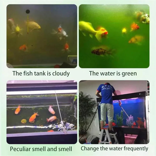 Aquarium Water Purification Tablets – Safe for All Fish - 1 to 2 Pills per 10L | Buy 1 Get 1 Free